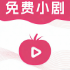 每日新影视永久vip版
